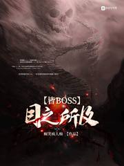 目之所及皆BOSS